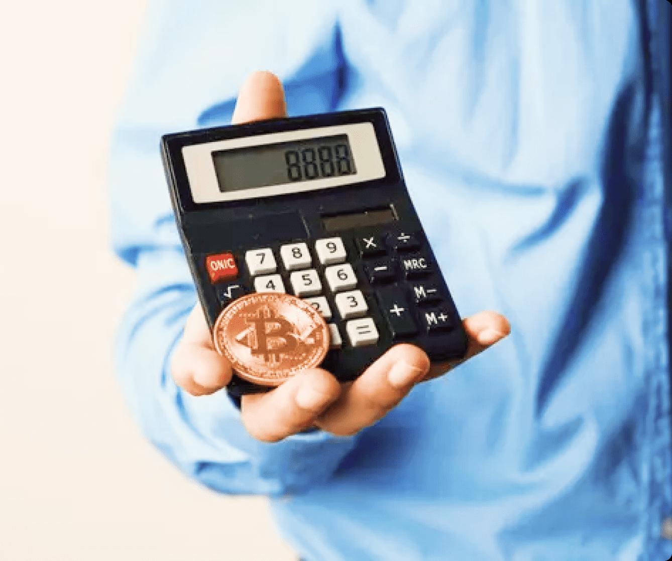 Tax Penalty Calculator