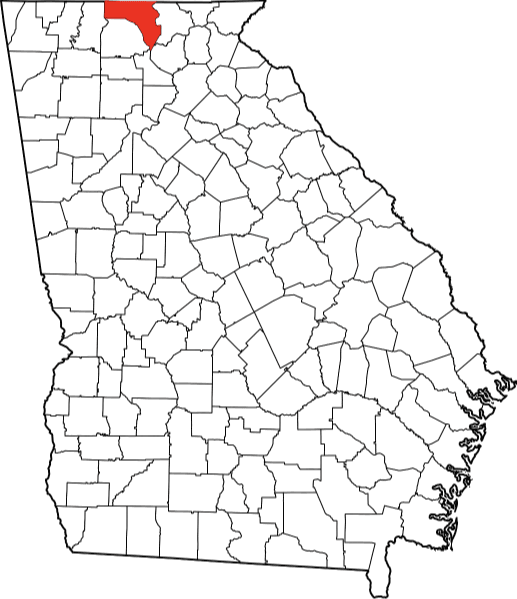 An image highlighting Fannin County in Georgia