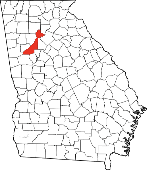 A photo displaying Fulton County in Georgia