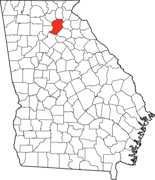 An image showing Hall County in Georgia