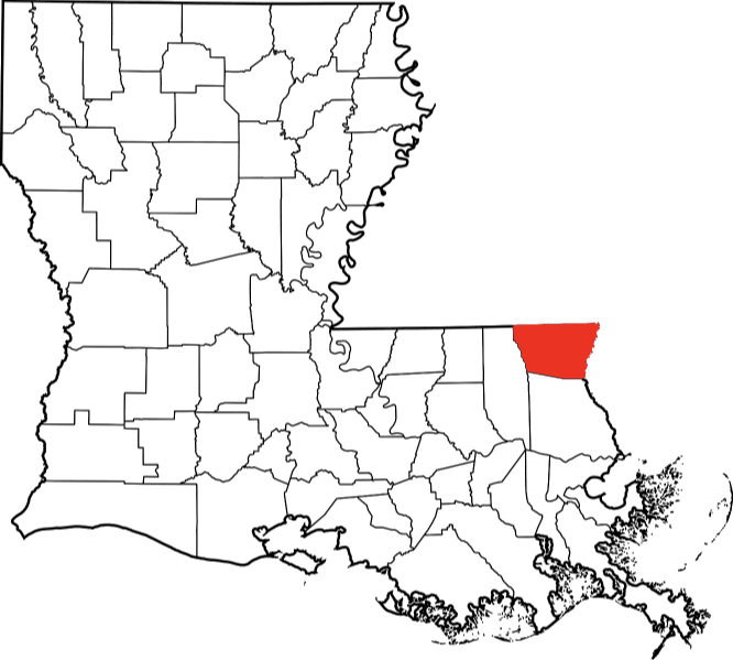 A picture displaying Washington Parish in Louisiana