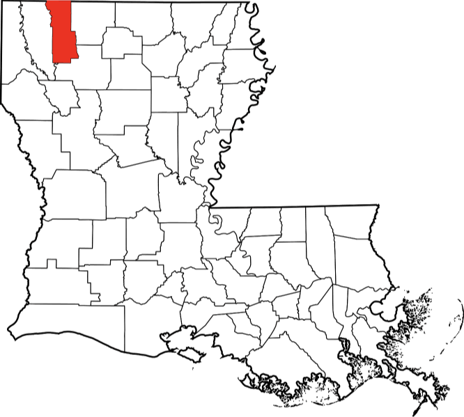 An image highlighting Webster Parish in Louisiana