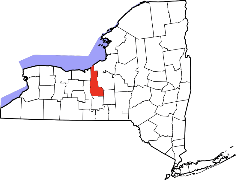 An image showing Cayuga County in New York