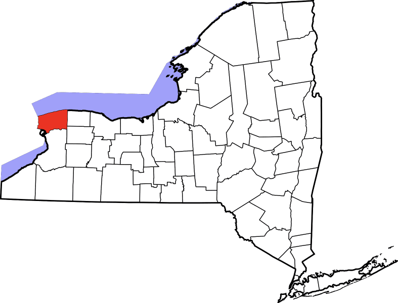 An illustration of Niagara County in New York