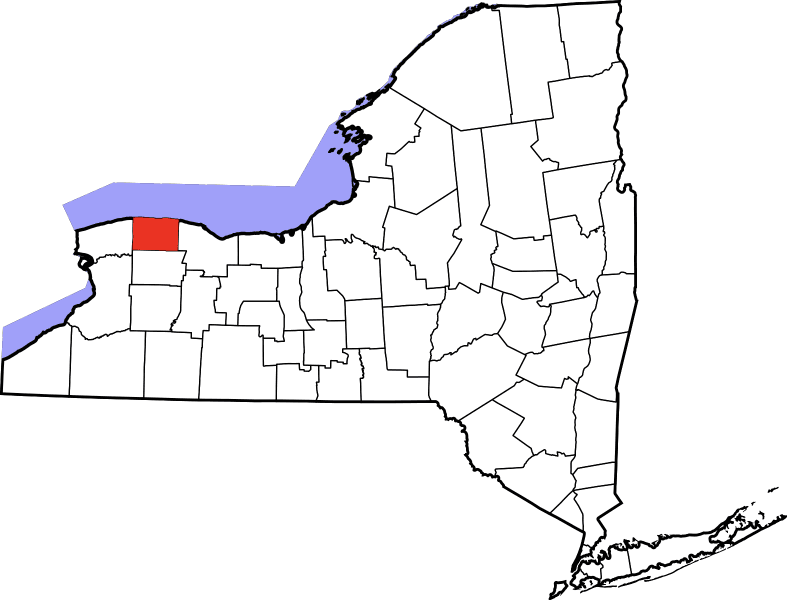 An illustration of Orleans County in New York