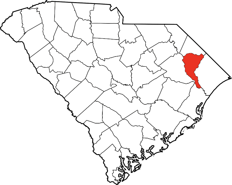 An illustration of Marion County in South Carolina